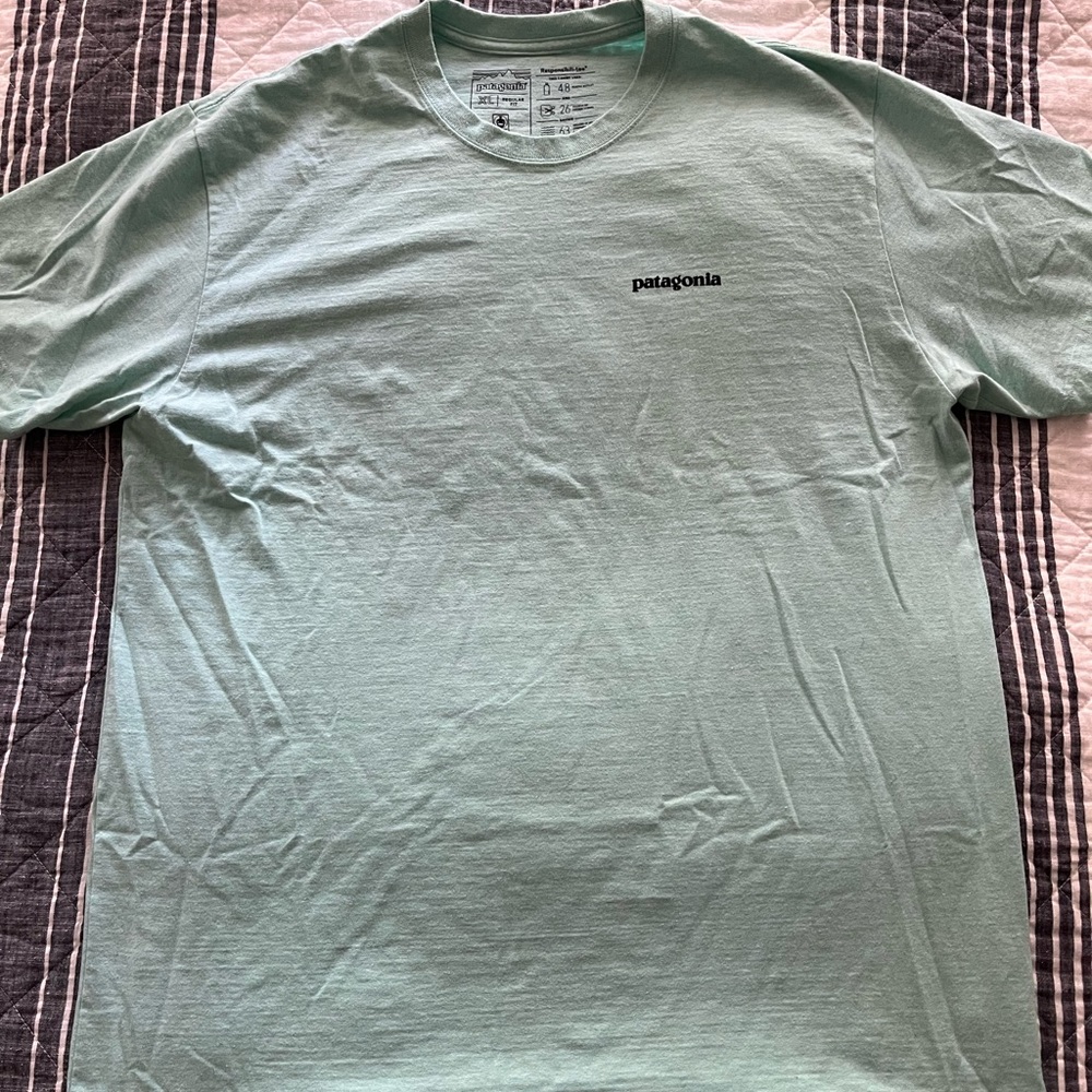 Patagonia T shirt